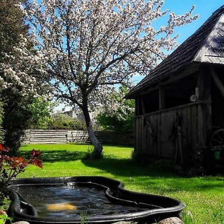 Hotel Viesu Nams Klanas Engure Exteriér fotografie